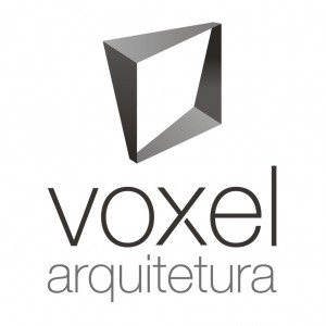 Logo Voxel 3